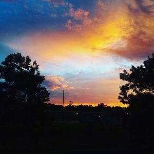 Meet your Posher, Lizzy